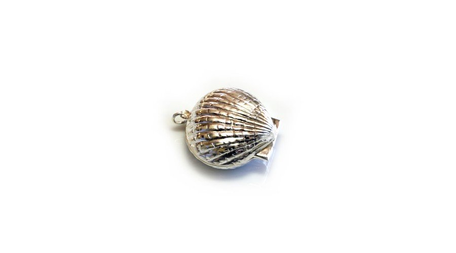 Сребърна мида - Отваряема